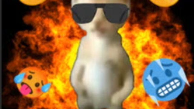 Como escoger los componentes de tu computadora